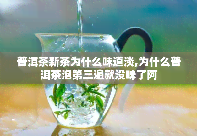 普洱茶新茶为什么味道淡,为什么普洱茶泡第三遍就没味了阿