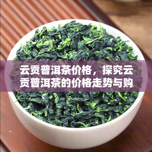 云贡普洱茶价格，探究云贡普洱茶的价格走势与购买建议