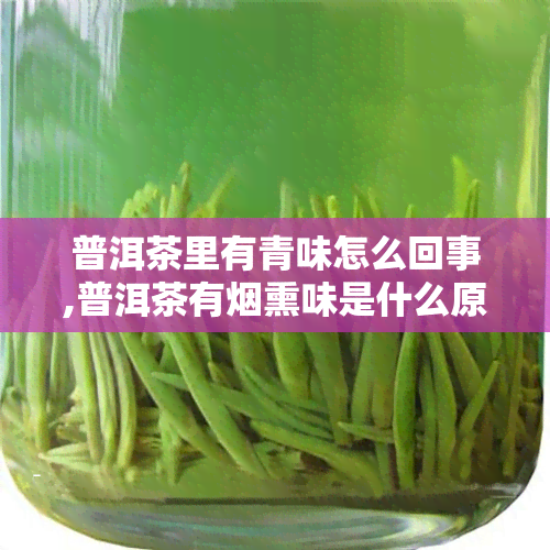 普洱茶里有青味怎么回事,普洱茶有熏味是什么原因