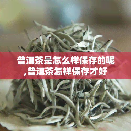 普洱茶是怎么样保存的呢,普洱茶怎样保存才好