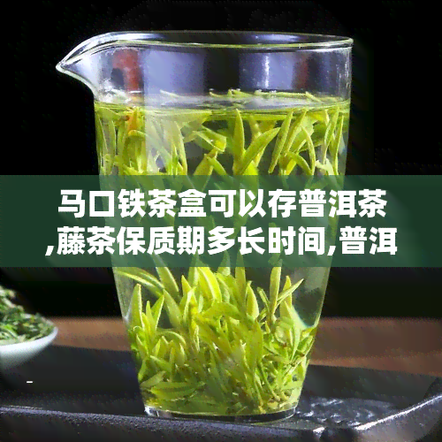 马口铁茶盒可以存普洱茶,藤茶保质期多长时间,普洱茶保质期多久