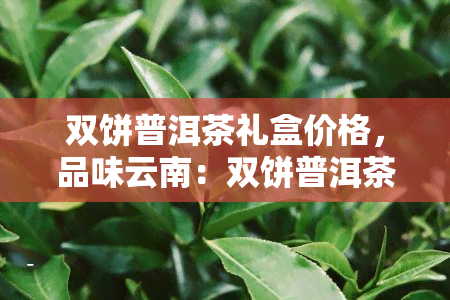 双饼普洱茶礼盒价格，品味云南：双饼普洱茶礼盒，精美包装，尊贵之选！