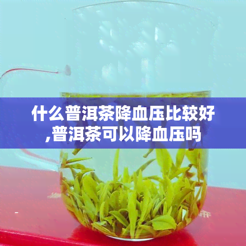 什么普洱茶降血压比较好,普洱茶可以降血压吗