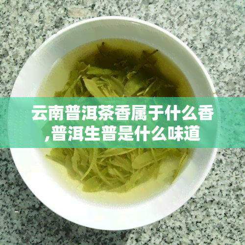 云南普洱茶香属于什么香,普洱生普是什么味道