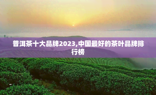 普洱茶十大品牌2023,中国更好的茶叶品牌排行榜