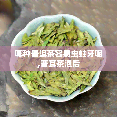 哪种普洱茶容易虫蛀牙呢,普耳茶泡后