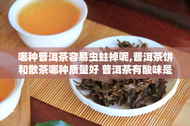 哪种普洱茶容易虫蛀掉呢,普洱茶饼和散茶哪种质量好 普洱茶有酸味是什么原因