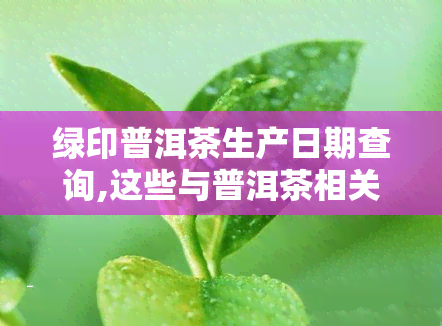 绿印普洱茶生产日期查询,这些与普洱茶相关的词汇是什么意思