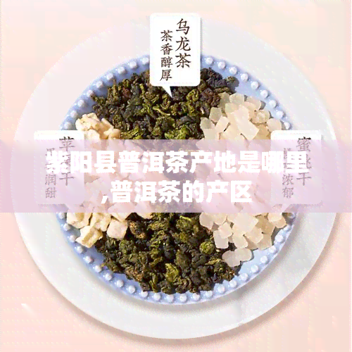  *** 县普洱茶产地是哪里,普洱茶的产区