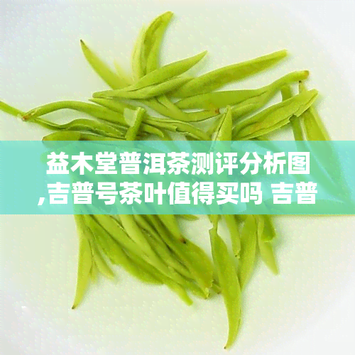 益木堂普洱茶测评分析图,吉普号茶叶值得买吗 吉普号普洱茶测评