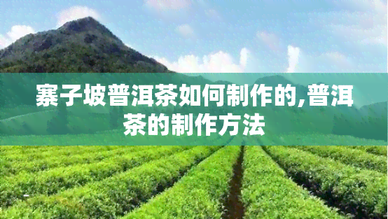 寨子坡普洱茶如何制作的,普洱茶的制作方法