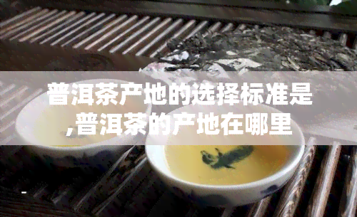 普洱茶产地的选择标准是,普洱茶的产地在哪里