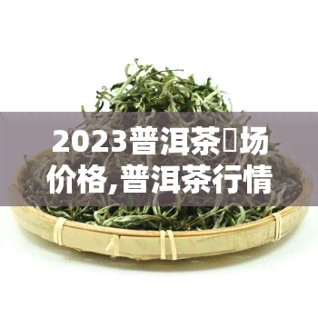 2023普洱茶巿场价格,普洱茶行情分析