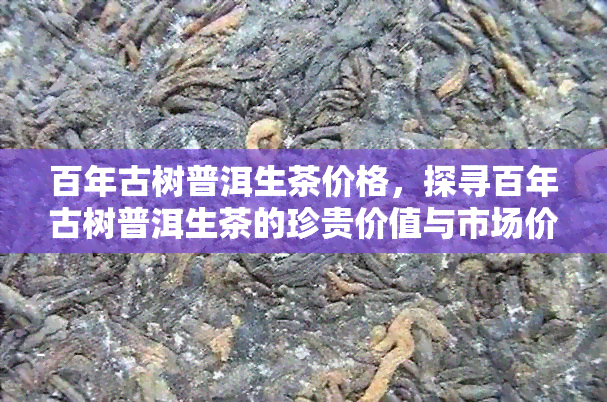 百年古树普洱生茶价格，探寻百年古树普洱生茶的珍贵价值与市场价格