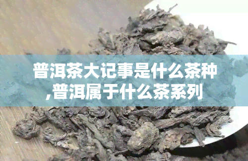 普洱茶大记事是什么茶种,普洱属于什么茶系列