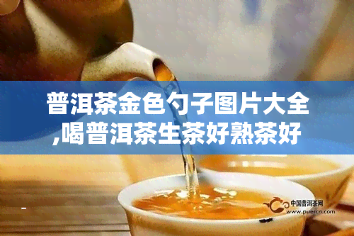 普洱茶金色勺子图片大全,喝普洱茶生茶好熟茶好