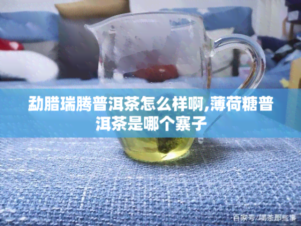 勐腊瑞腾普洱茶怎么样啊,薄荷糖普洱茶是哪个寨子