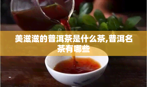 美滋滋的普洱茶是什么茶,普洱名茶有哪些