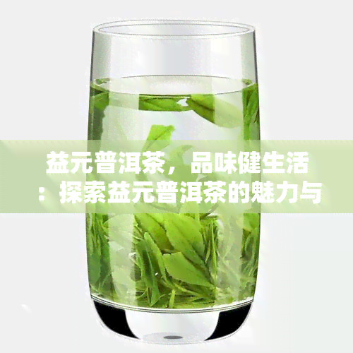 益元普洱茶，品味健生活：探索益元普洱茶的魅力与功效