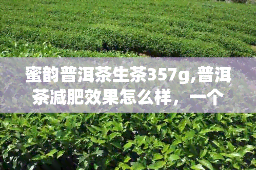 蜜韵普洱茶生茶357g,普洱茶减肥效果怎么样，一个月能瘦几斤，价格贵不贵，普通的店有没有买的求大神帮助