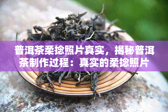 普洱茶柔捻照片真实，揭秘普洱茶制作过程：真实的柔捻照片展示