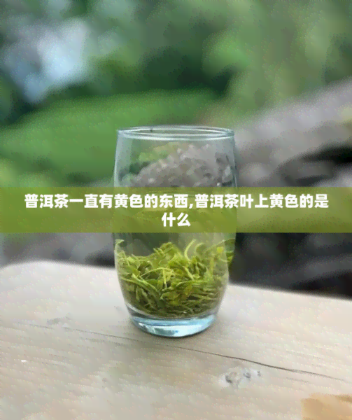 普洱茶一直有黄色的东西,普洱茶叶上黄色的是什么