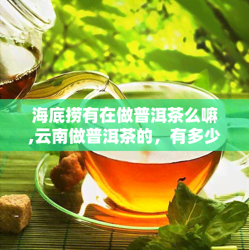 海底捞有在做普洱茶么嘛,云南做普洱茶的，有多少个品牌