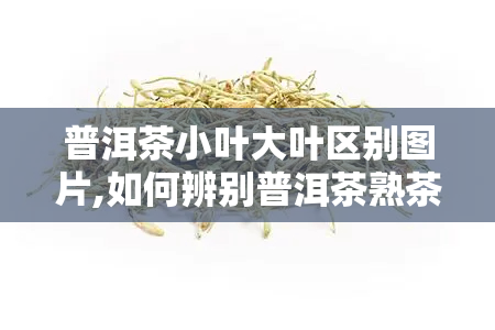 普洱茶小叶大叶区别图片,如何辨别普洱茶熟茶