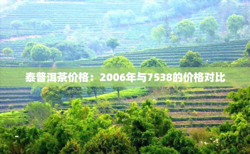 泰普洱茶价格：2006年与7538的价格对比