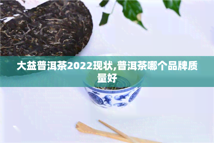 大益普洱茶2022现状,普洱茶哪个品牌质量好