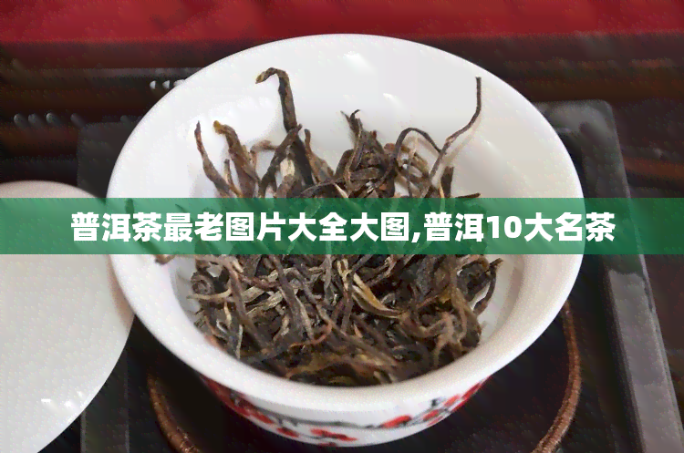 普洱茶最老图片大全大图,普洱10大名茶