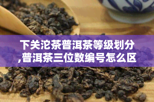 下关沱茶普洱茶等级划分,普洱茶三位数编号怎么区分等级