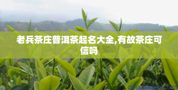 老兵茶庄普洱茶起名大全,有故茶庄可信吗