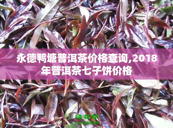 永德鸭塘普洱茶价格查询,2018年普洱茶七子饼价格