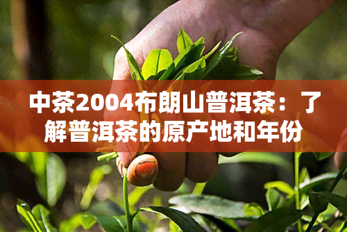 中茶2004布朗山普洱茶：了解普洱茶的原产地和年份，品尝纯正的普洱茶味道！