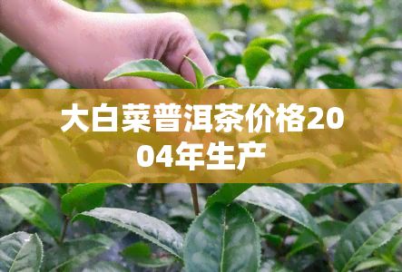 大白菜普洱茶价格2004年生产