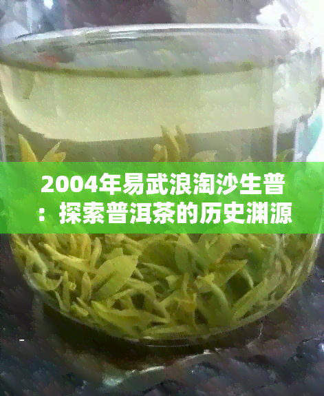 2004年易武浪淘沙生普：探索普洱茶的历史渊源与独特韵味