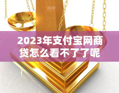 2023年支付宝网商贷怎么看不了了呢 支付宝网商贷额度怎么突然没有了