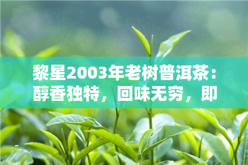 黎星2003年老树普洱茶：醇香独特，回味无穷，即刻品味经典