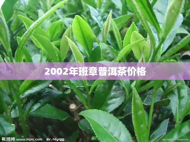 2002年班章普洱茶价格