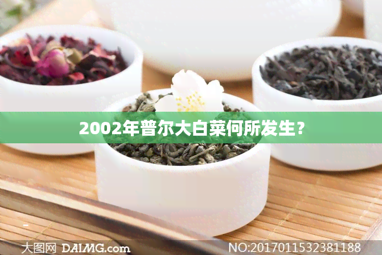 2002年普尔大白菜何所发生？