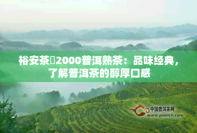 裕安茶號2000普洱熟茶：品味经典，了解普洱茶的醇厚口感