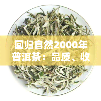 回归自然2000年普洱茶：品质、收藏和市场前景