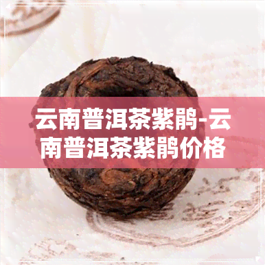 云南普洱茶紫鹃-云南普洱茶紫鹃价格表