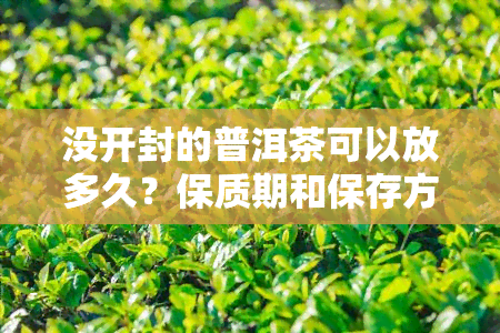 没开封的普洱茶可以放多久？保质期和保存方法解析