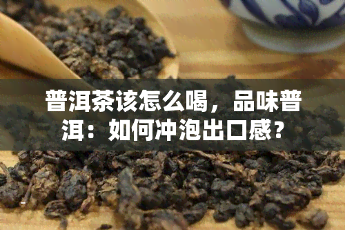 普洱茶该怎么喝，品味普洱：如何冲泡出口感？