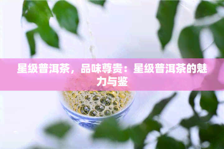 星级普洱茶，品味尊贵：星级普洱茶的魅力与鉴