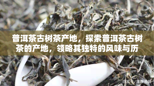 普洱茶古树茶产地，探索普洱茶古树茶的产地，领略其独特的风味与历文化