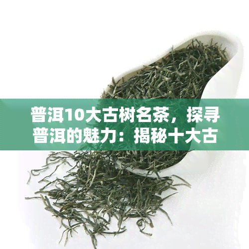 普洱10大古树名茶，探寻普洱的魅力：揭秘十大古树名茶的传说与故事