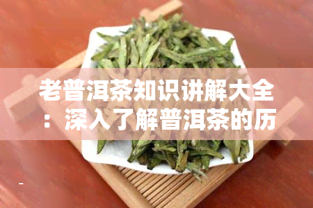 老普洱茶知识讲解大全：深入了解普洱茶的历、制作工艺与品鉴技巧